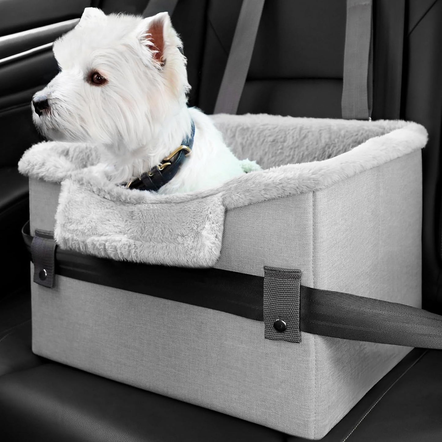 Portable Seat With Clip-On Safety Leash