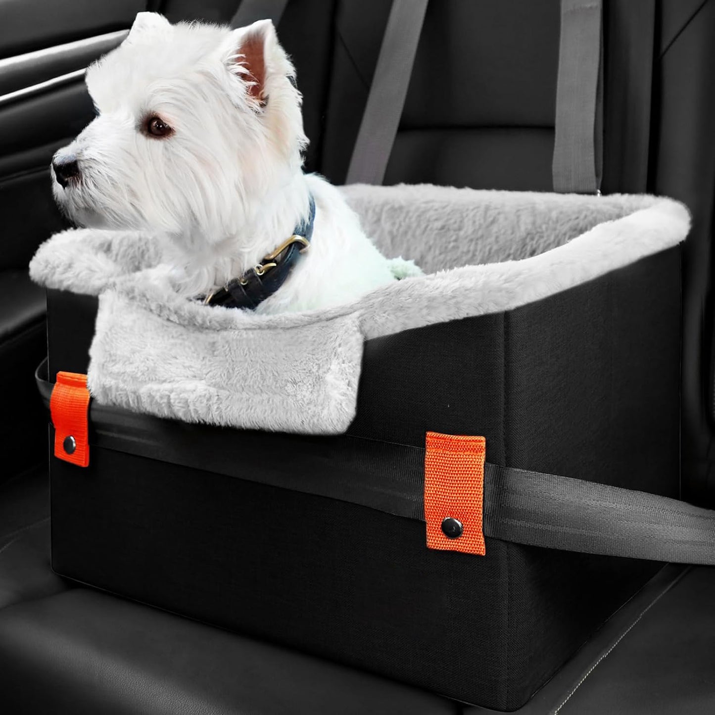 Portable Seat With Clip-On Safety Leash
