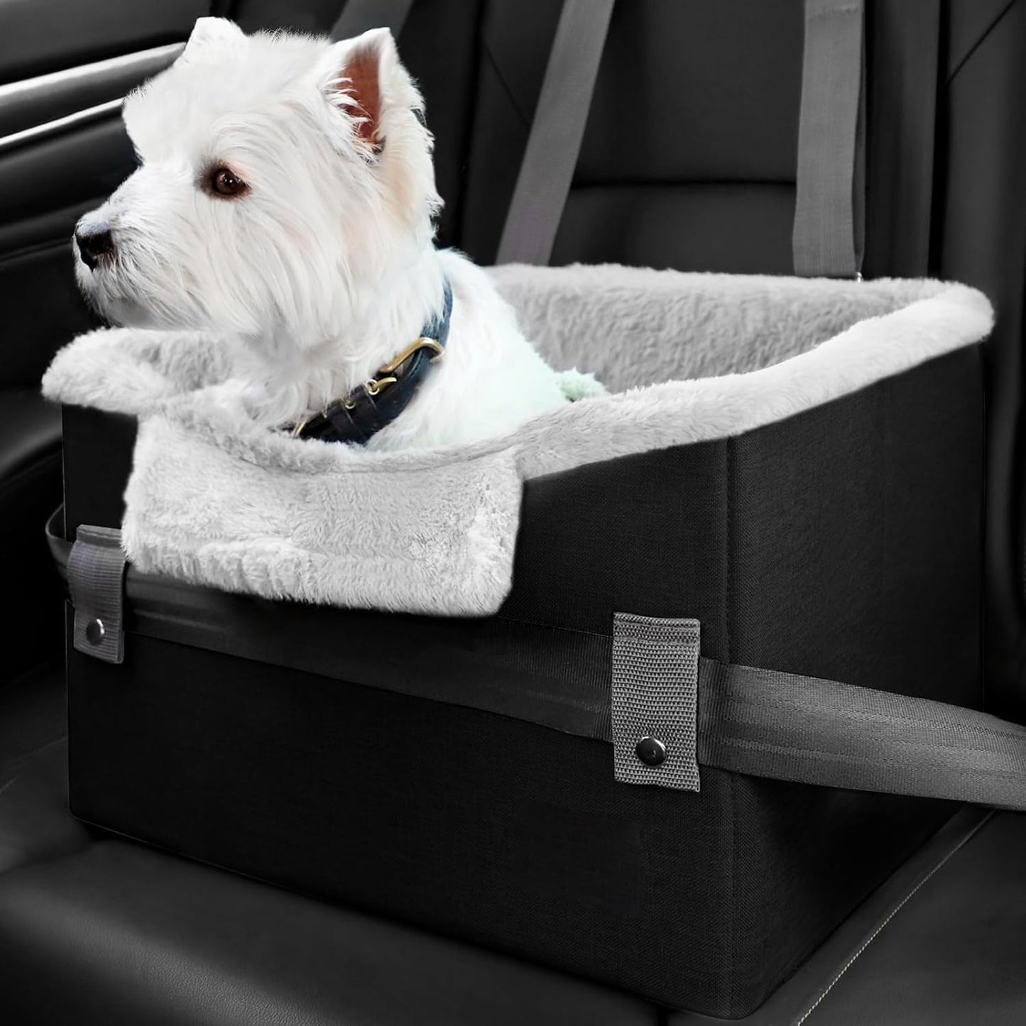 Portable Seat With Clip-On Safety Leash