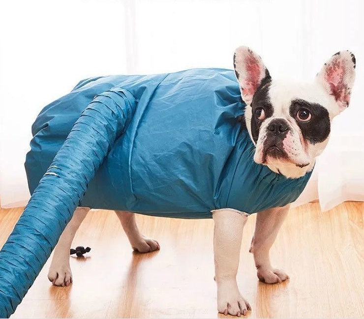 Pet Automatic Drying Bag