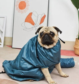 Pet Automatic Drying Bag