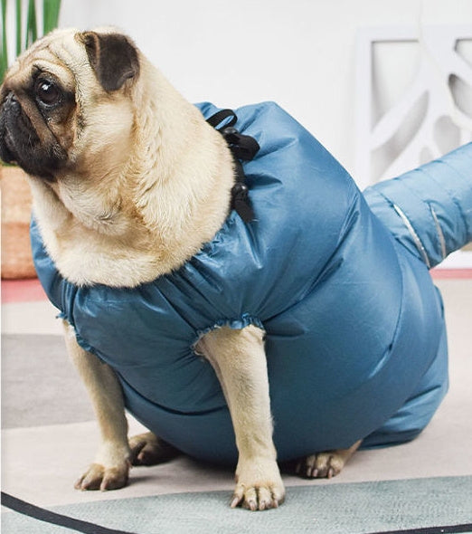 Pet Automatic Drying Bag